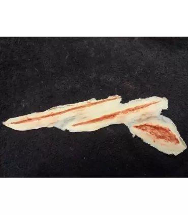 Cortes Varios 1 ∣ Harpo