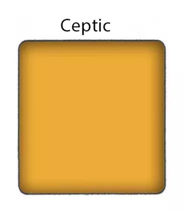 Dashbo - Mini INK - Ceptic