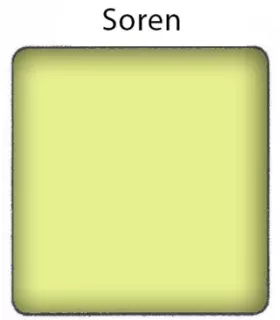 Dashbo - Mini INK - Soren