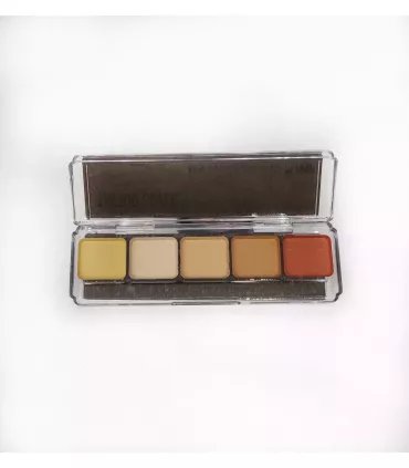 Paleta Al Alcohol - Tattoo Cover