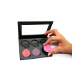 Paleta Personalizada Sombras