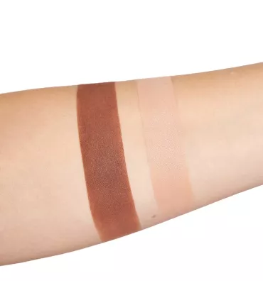 Paleta Correctora (Claro Oscuro)