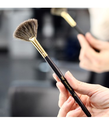 Brocha Abanico Mediano