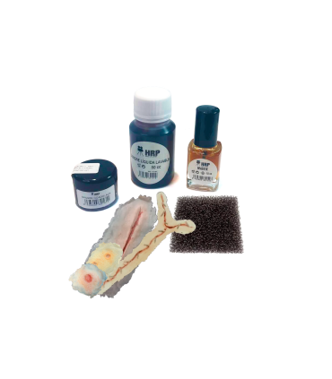 Kit de maquillaje de Halloween Heridas