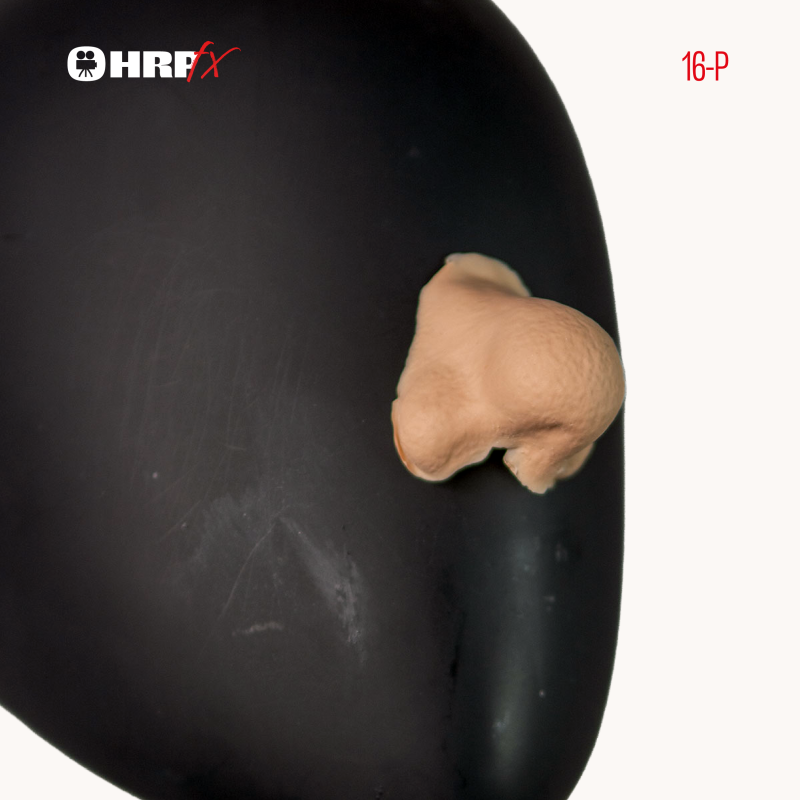 Nariz payaso pequeña ∣ Harpo