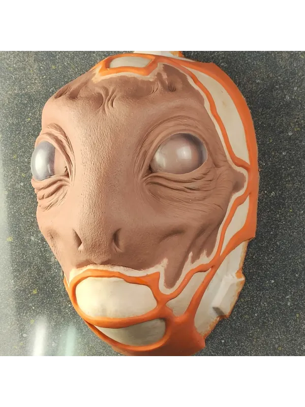 Creación De Prótesis